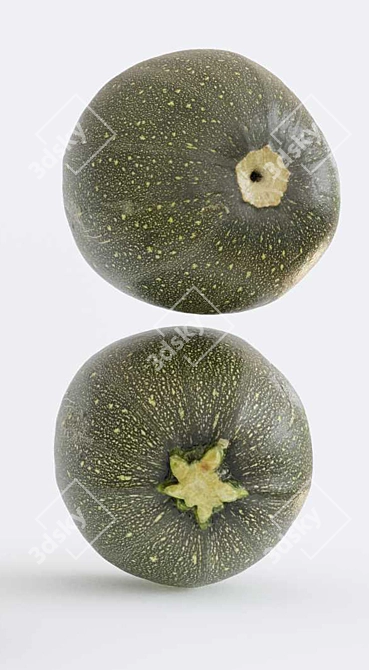 Zucchini 3D Model Kit 3D model image 4