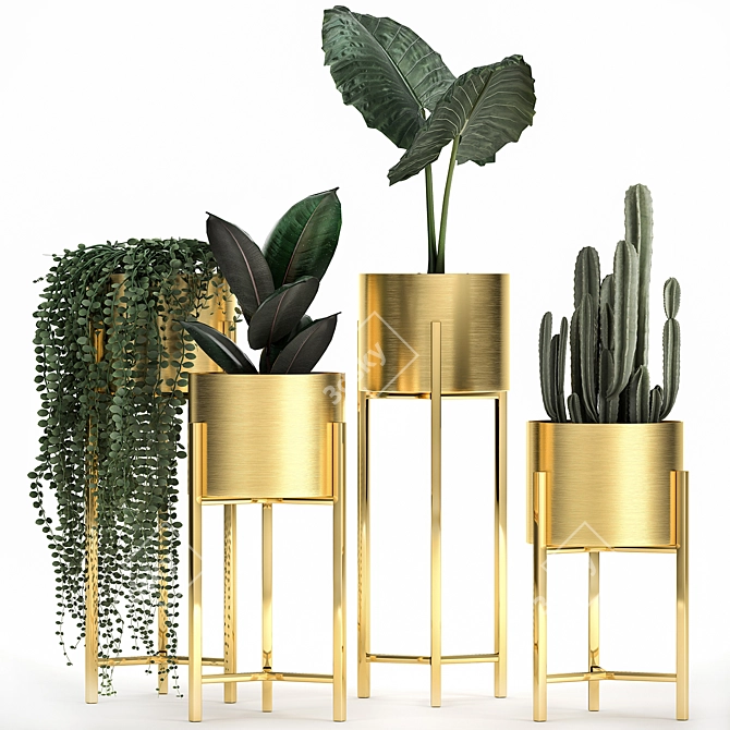 Tropical Plant Collection in Golden Pots 3D model image 1