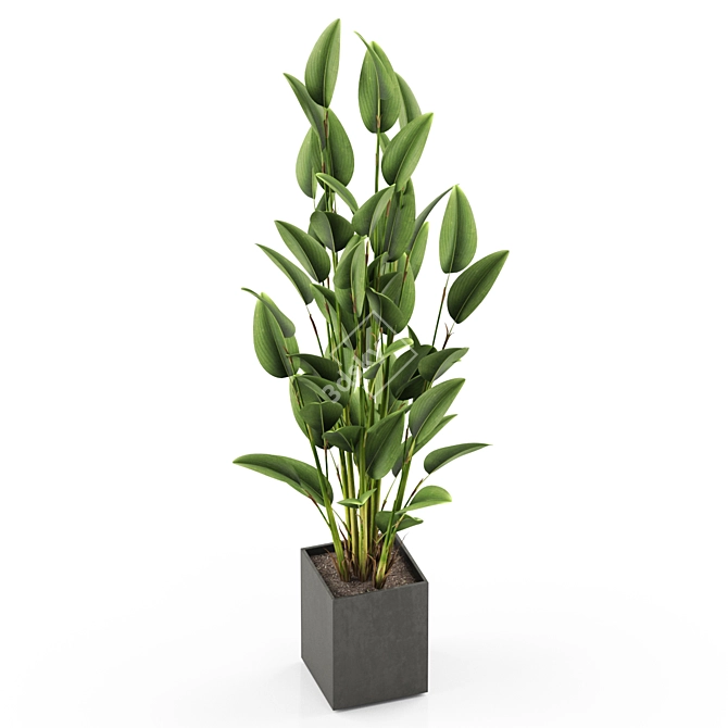 Green Oasis: 473 Exquisite Plants 3D model image 2