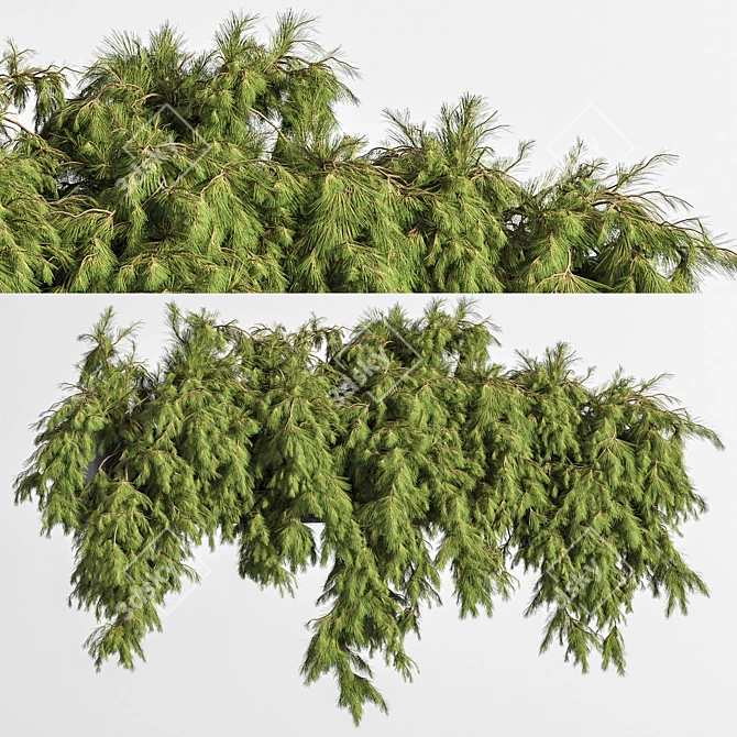 Outdoor Hanging Plant Box - Gardening Decor 3D model image 1