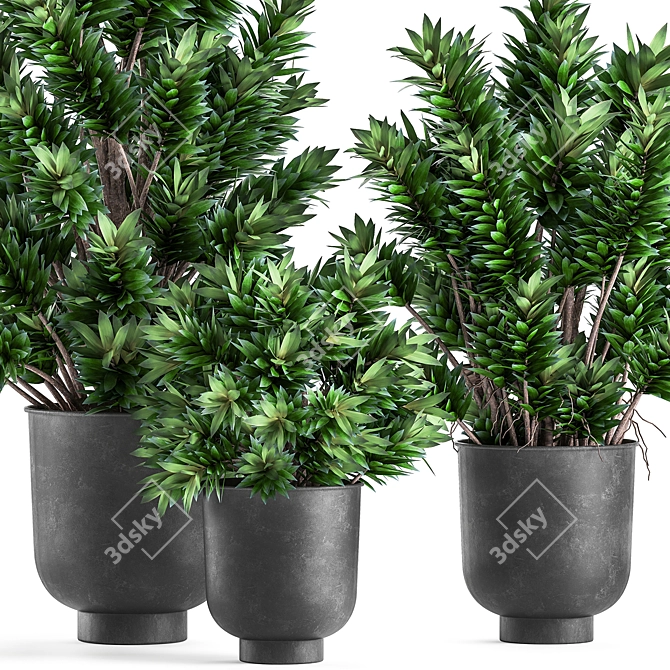 Tropical Plant Collection: Exotic Dracaena in Vig Planter 3D model image 3