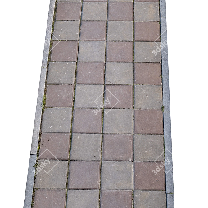 Title: High-Resolution Photogrammetric Sidewalk 3D model image 4