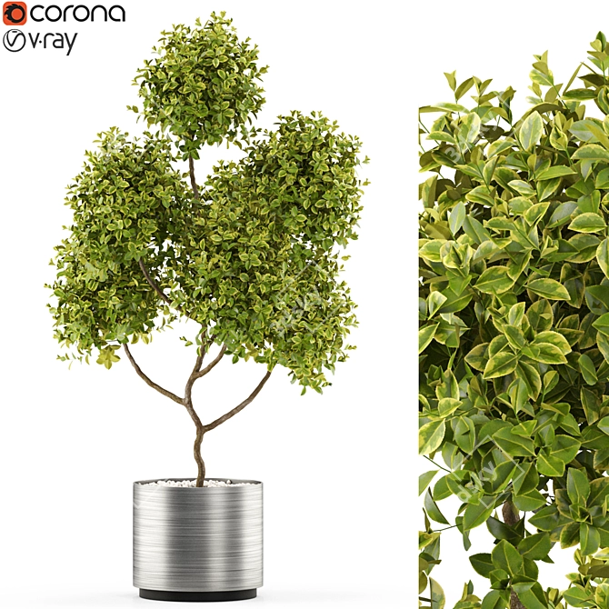 Botanical Extravaganza: Lush Greenery Medley 3D model image 1