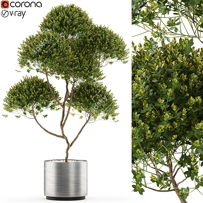 Green Oasis: Plants Collection 3D model image 1