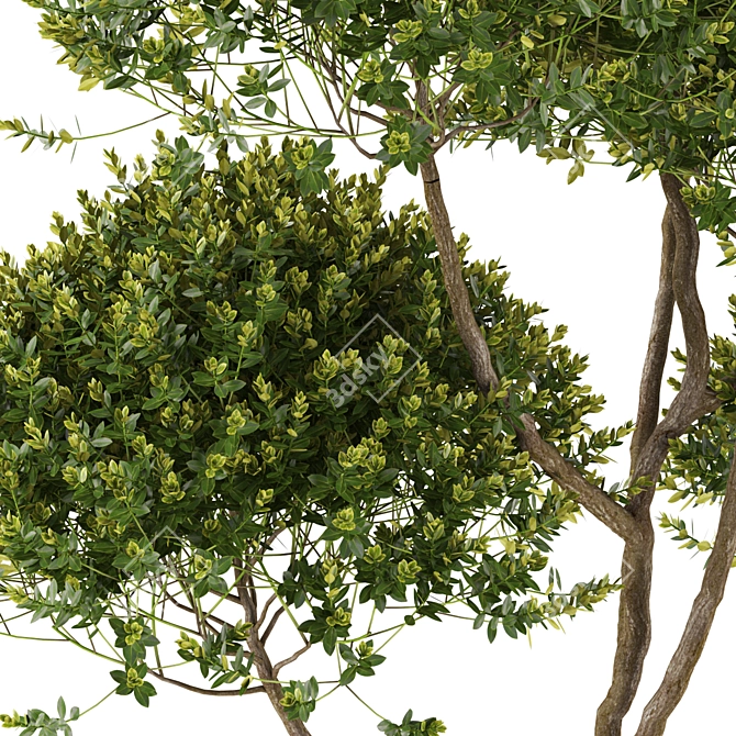 Green Oasis: Plants Collection 3D model image 2