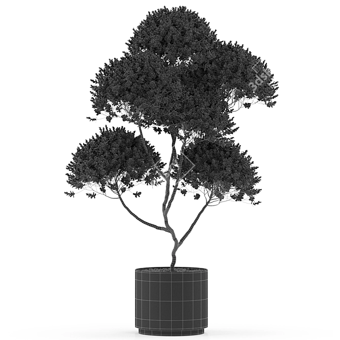 Green Oasis: Plants Collection 3D model image 3