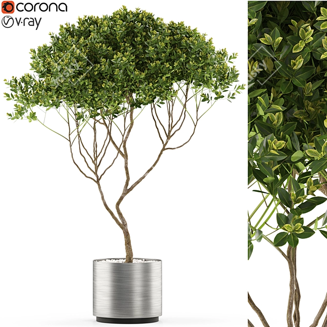 501 Plant Collection: Botanical Beauties 3D model image 1