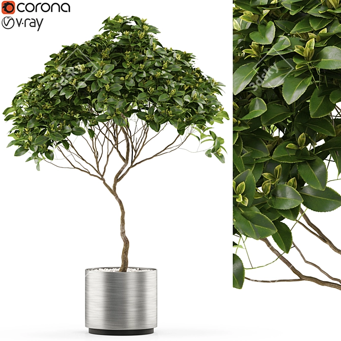 Botanical Bliss: 503 Leafy Delights 3D model image 1