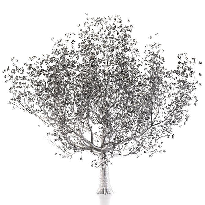 European Cornelian Cherry 3D model image 5