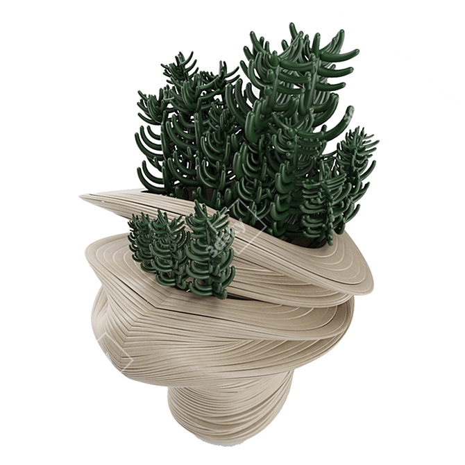 Desert Dream Cactus Pot 3D model image 3