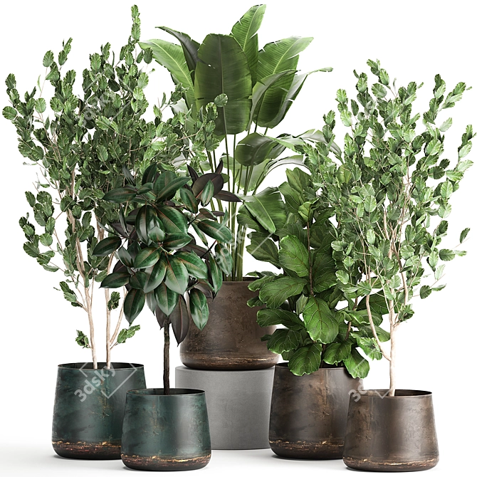 Exotic Plant Collection in Reclaimed Iron Pots 3D model image 1