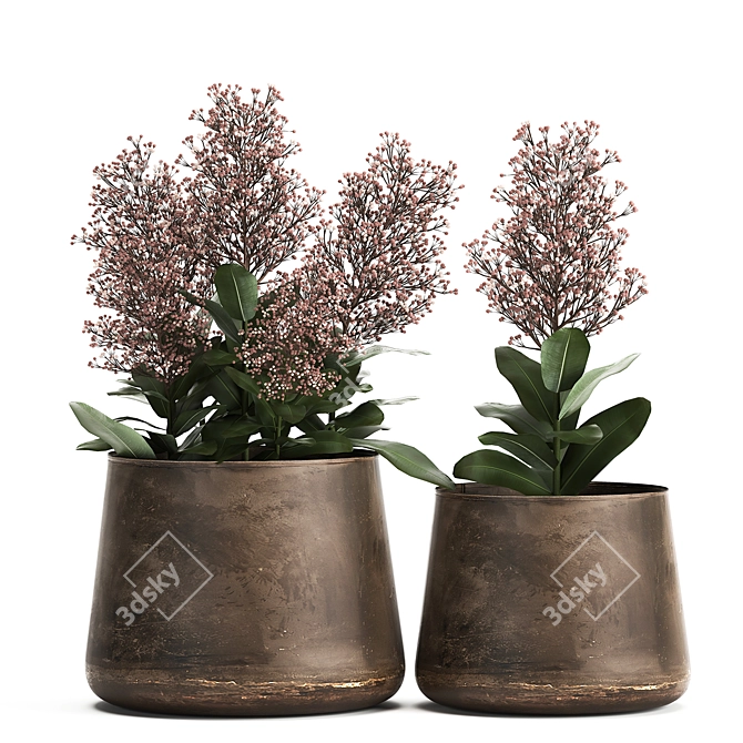 Metallic Plant Collection: Exotic & Tropical Skimmia 3D model image 1