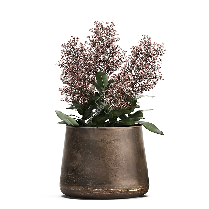 Metallic Plant Collection: Exotic & Tropical Skimmia 3D model image 4