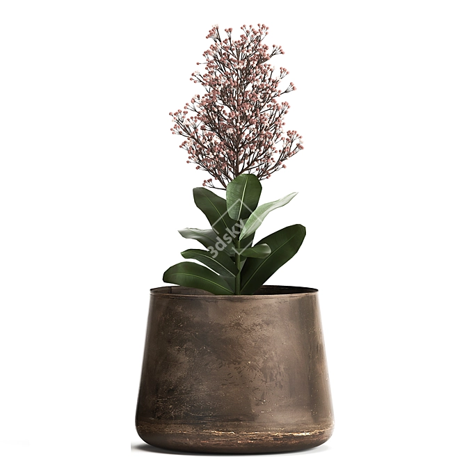 Metallic Plant Collection: Exotic & Tropical Skimmia 3D model image 5