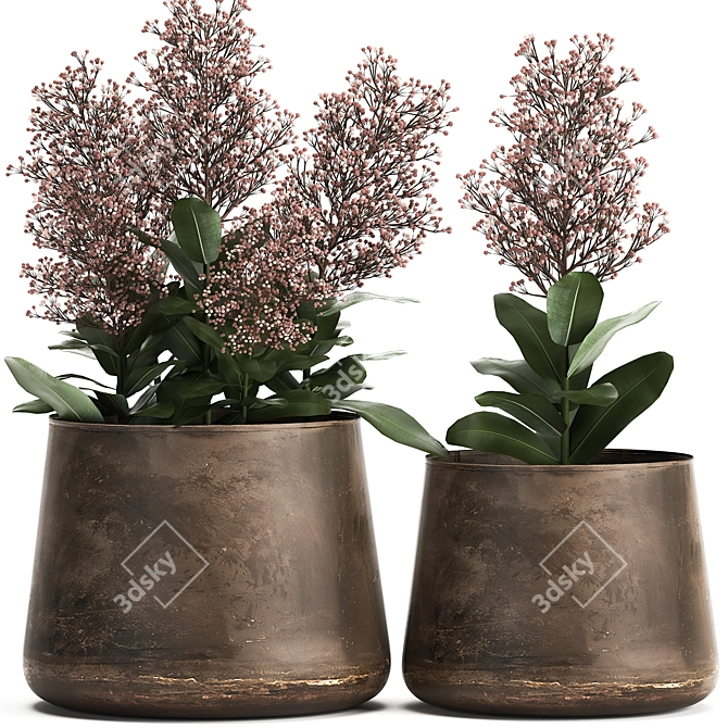 Metallic Plant Collection: Exotic & Tropical Skimmia 3D model image 6