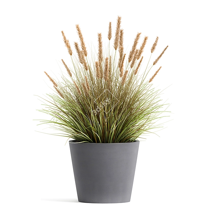 Tropical Plant Collection for Indoor and Outdoor Décor 3D model image 5
