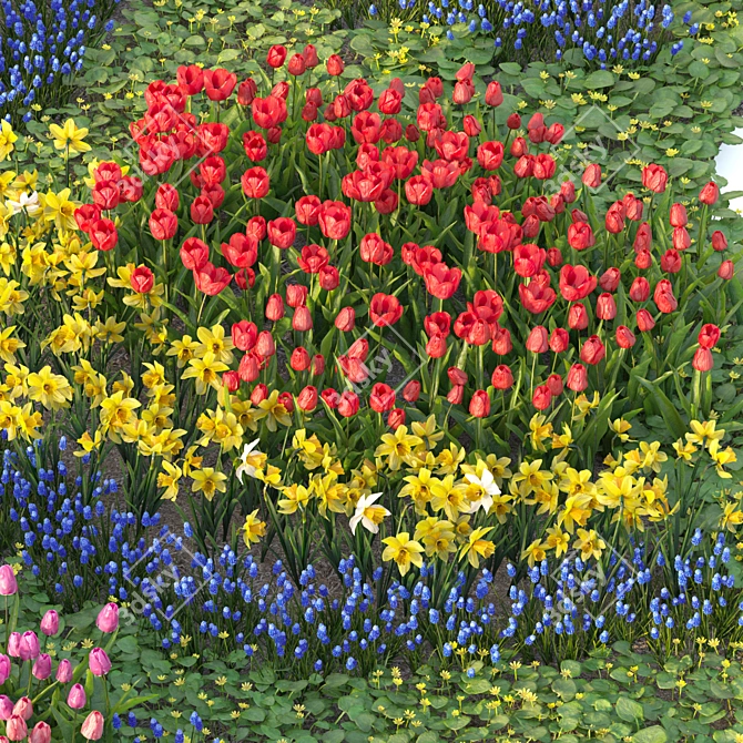 Spring Flower Garden Collection 3D model image 2