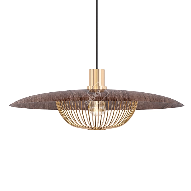 RANN Caged Wooden Pendant 3D model image 1