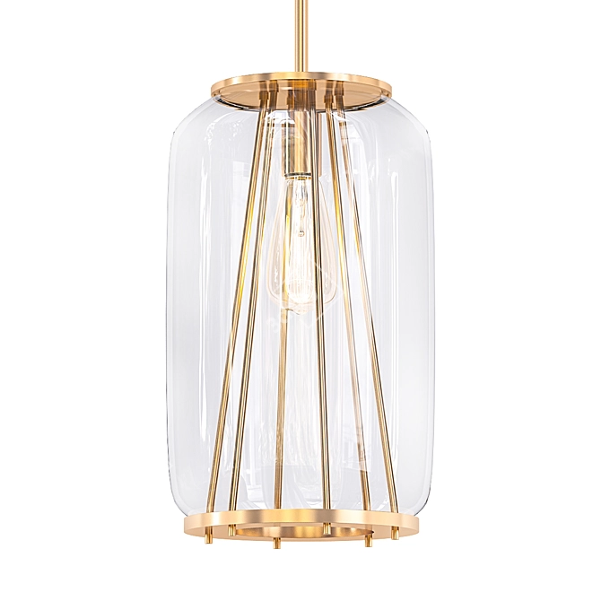 Elegant Glass Pendant Light 3D model image 1