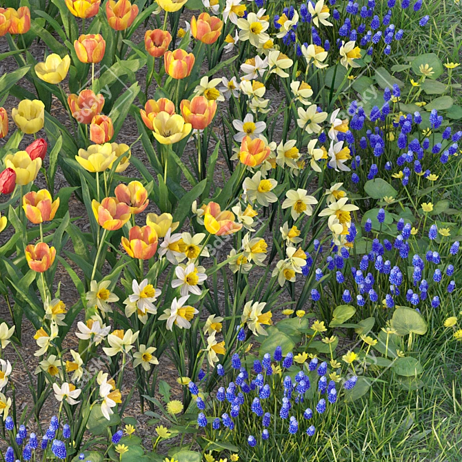 Flower Garden Paradise: Tulip, Narcissus, Muscari, Ficaria verna & Dandelion 3D model image 5