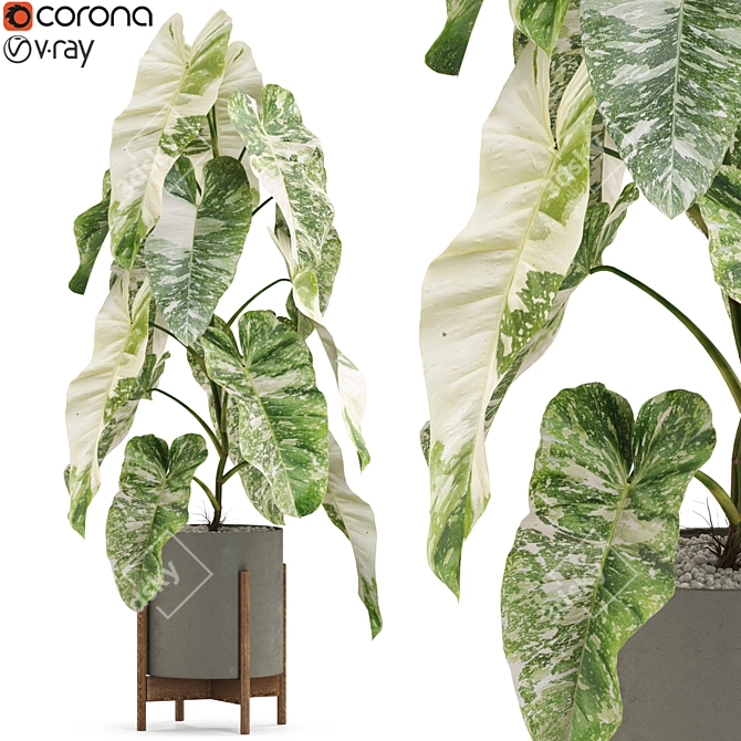 Botanical Bliss: Diverse Plant Collection 3D model image 1