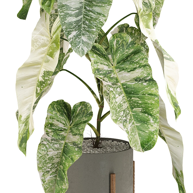 Botanical Bliss: Diverse Plant Collection 3D model image 2