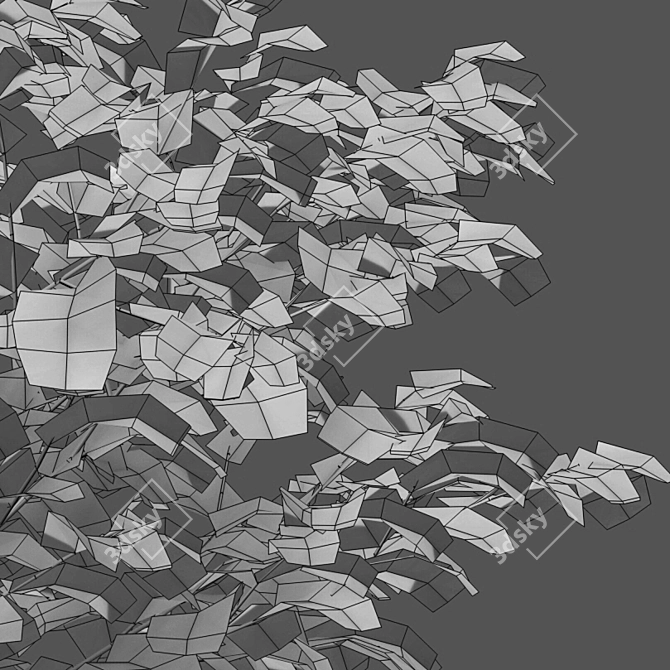 Carpinus Betulus: 3D Tree Model 3D model image 2