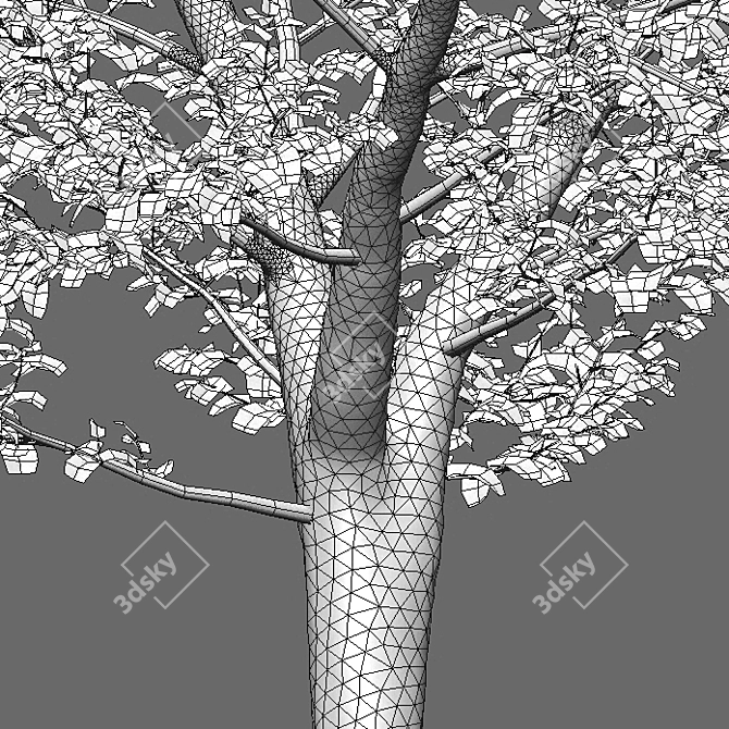 Carpinus Betulus: 3D Tree Model 3D model image 3