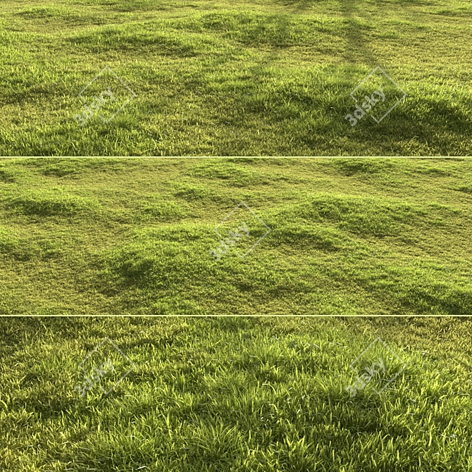 Garden Grass Variety Pack: Scattered Patterns & 3D Models 3D model image 3