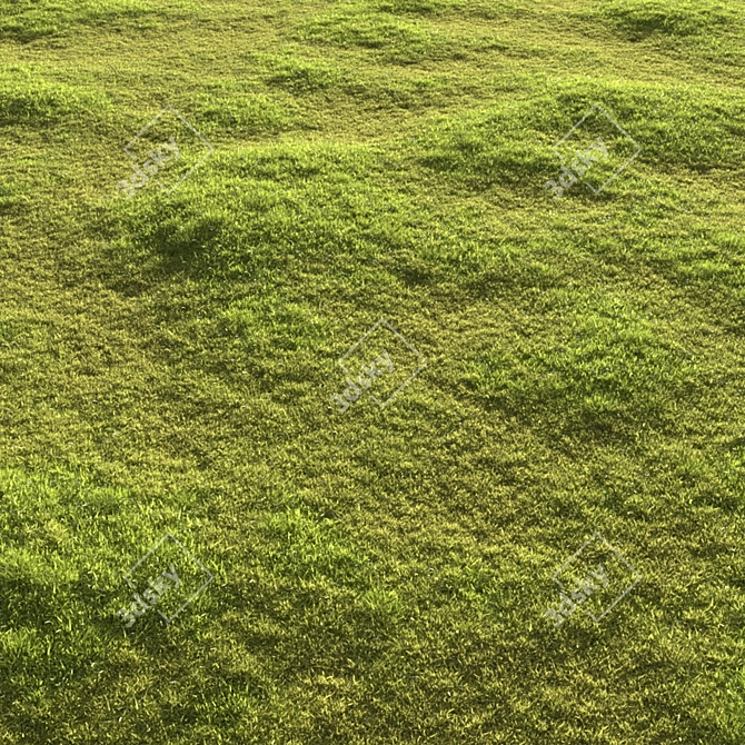 Garden Grass Variety Pack: Scattered Patterns & 3D Models 3D model image 4