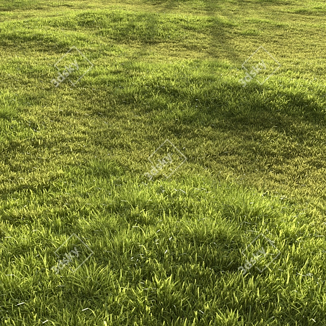 Garden Grass Variety Pack: Scattered Patterns & 3D Models 3D model image 6