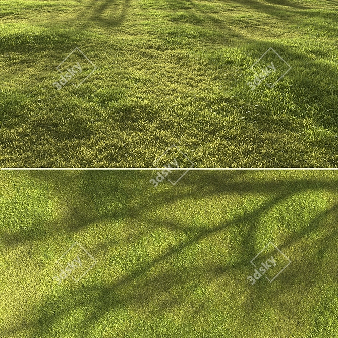 Garden Grass Variety Pack: Scattered Patterns & 3D Models 3D model image 7