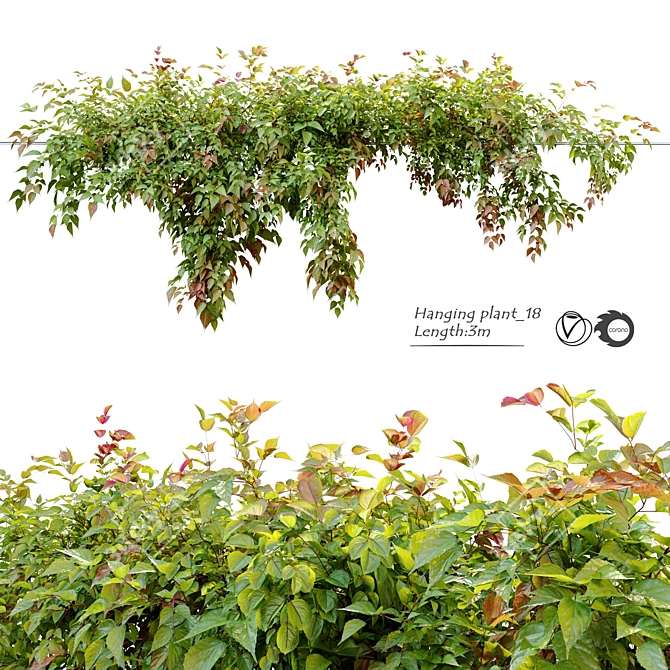 3m Hanging Plant: Realistic, Versatile, Vray & Corona materials 3D model image 1