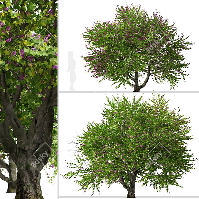 Exquisite Pair of Orchid Tree 3D model image 3