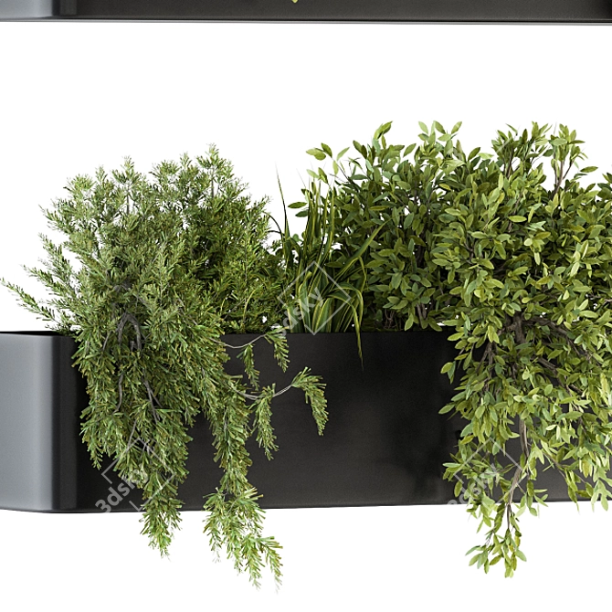 Wildgreen Hangorama - Indoor Hanging Plant Set 3D model image 4