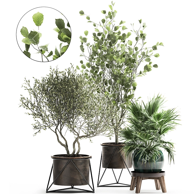 Exotic Metal Pot Plant Collection 3D model image 1