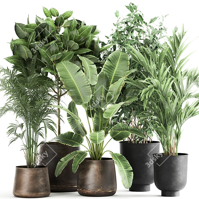 Exotic Plant Collection: Decorative Trees in Copper Pots 3D model image 1