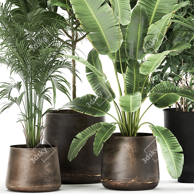 Exotic Plant Collection: Decorative Trees in Copper Pots 3D model image 2