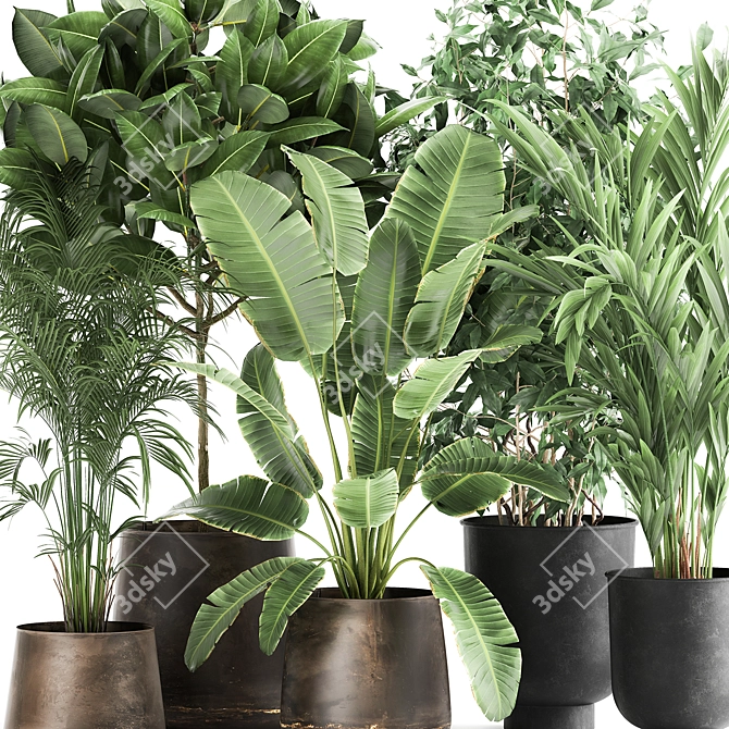 Exotic Plant Collection: Decorative Trees in Copper Pots 3D model image 4
