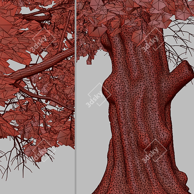 Old World Sycamore Tree Set (2 Trees) 3D model image 5