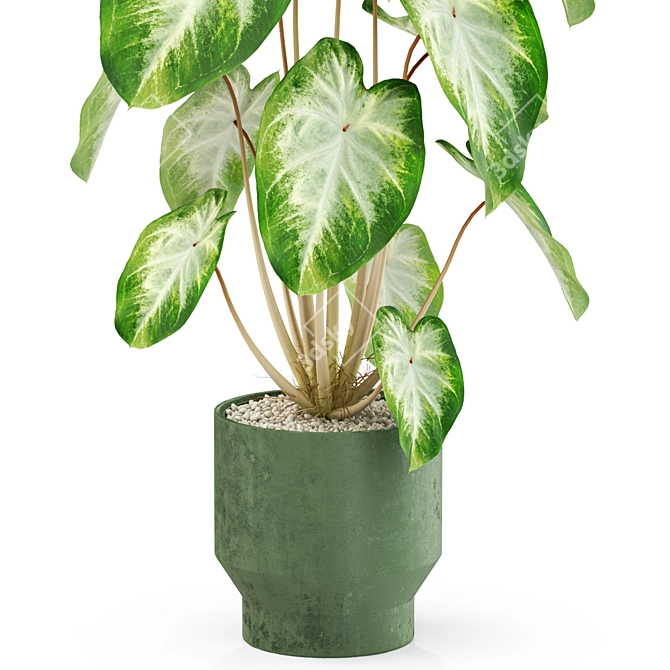 Exquisite Flora: Plants Collection 3D model image 2