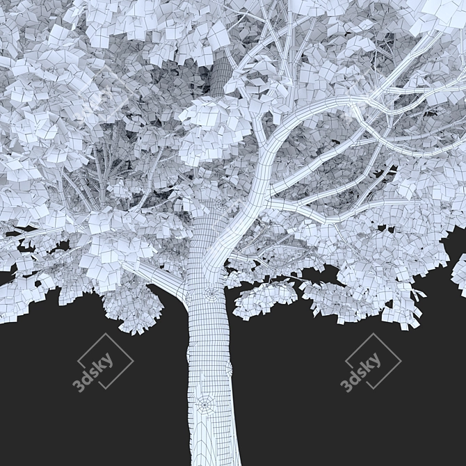 Field Maple Tree: Vray & Corona Ready 3D model image 5