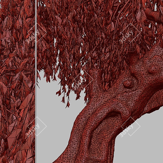 Lush Weeping Willow Trees (Set of 2) 3D model image 5