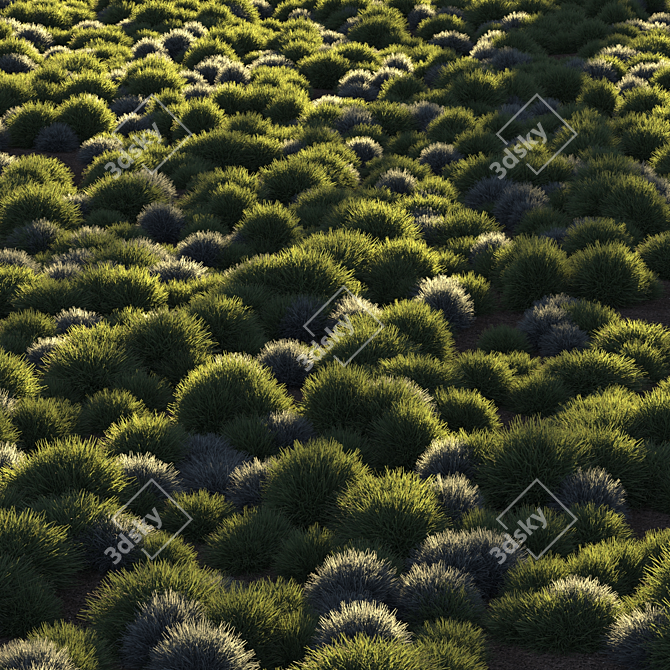 Unique Title: "Evergreen Meadow Grass 3D model image 1