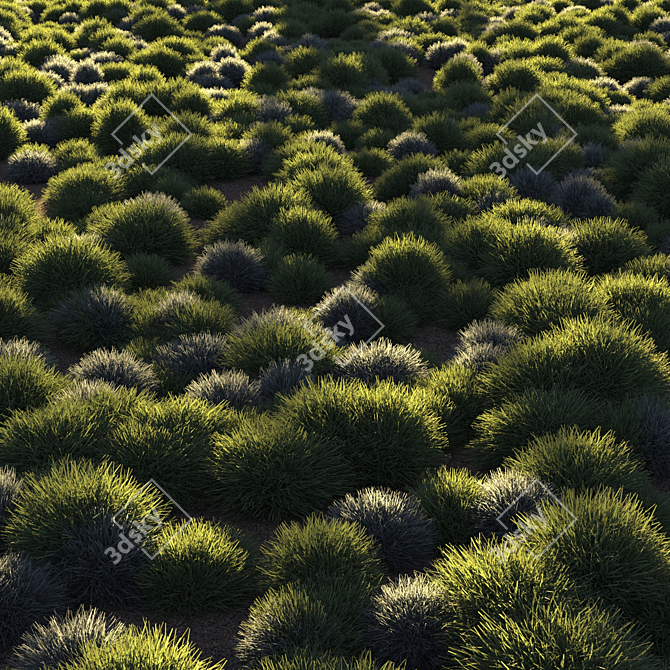 Unique Title: "Evergreen Meadow Grass 3D model image 4