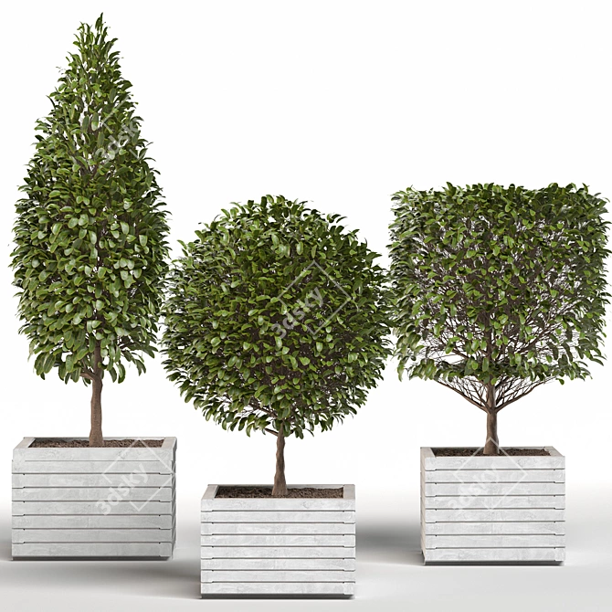 4 Shaped Bush Plants: High-Quality Outdoor Greenery 3D model image 3