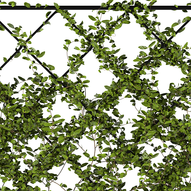 Lush Ivy Plant Set: 3Dmax Models 3D model image 3