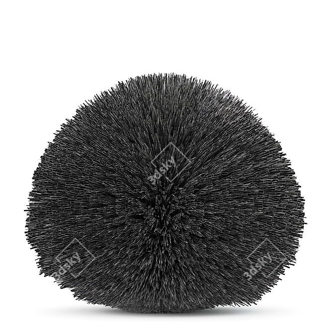 Elegant Maiden Grass for Landscaping 3D model image 5