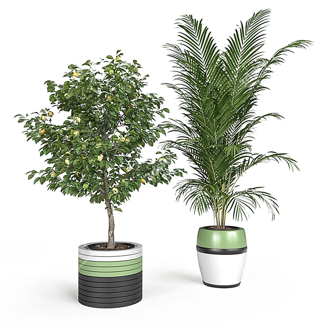 Exquisite Indoor & Outdoor Plant Set 3D model image 3