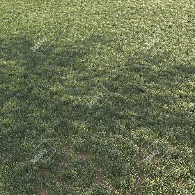 Green Grass Landscaping Solution 3D model image 3